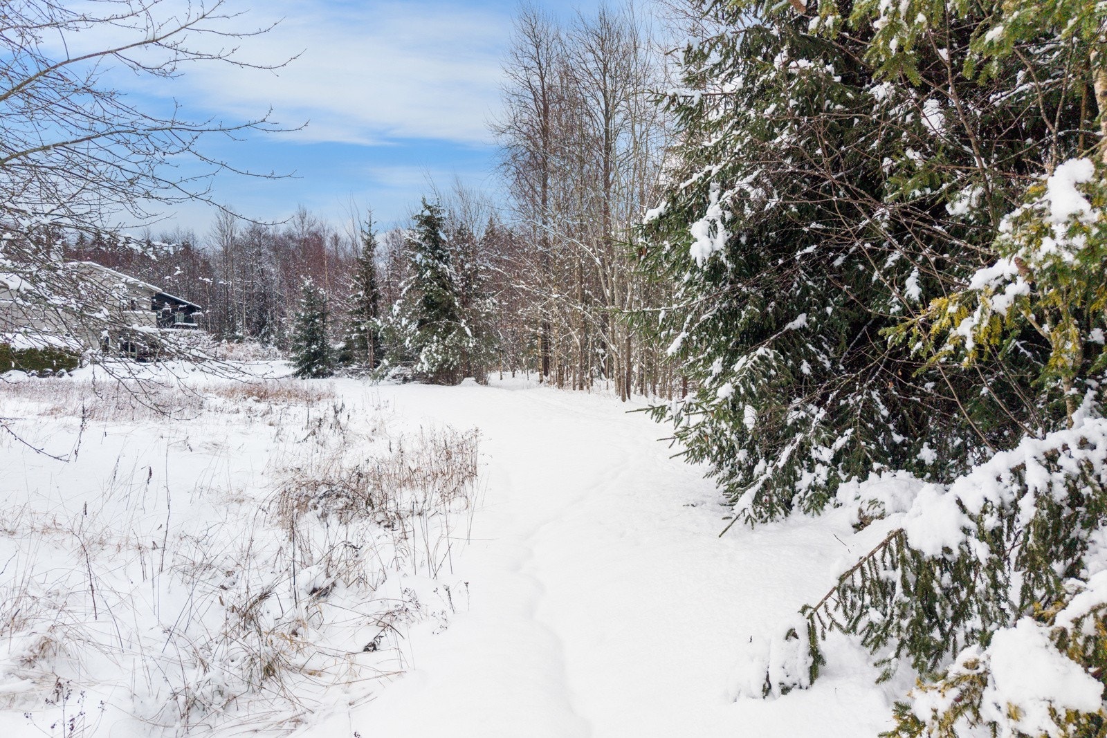 Populære Ilebrekkeskogen i umiddelbar nærhet Galleribilde