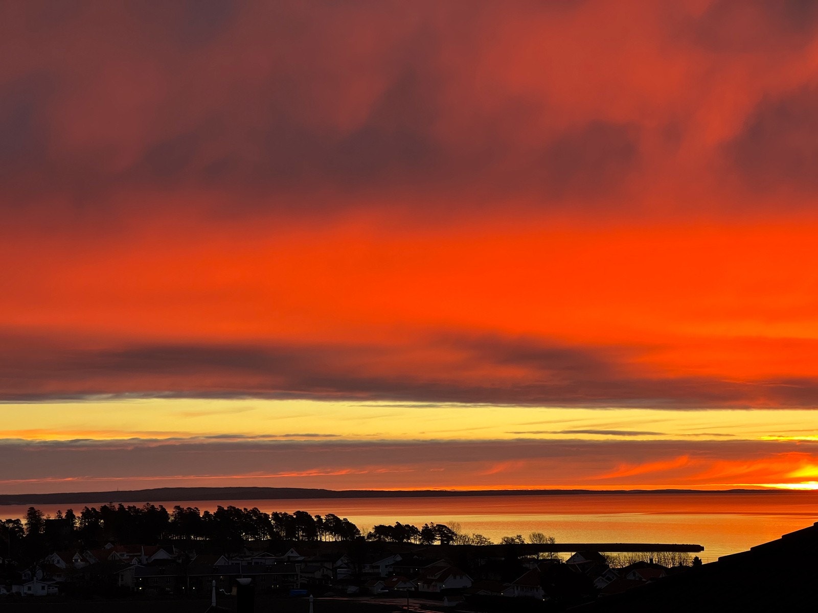 Selgers private bilde Galleribilde