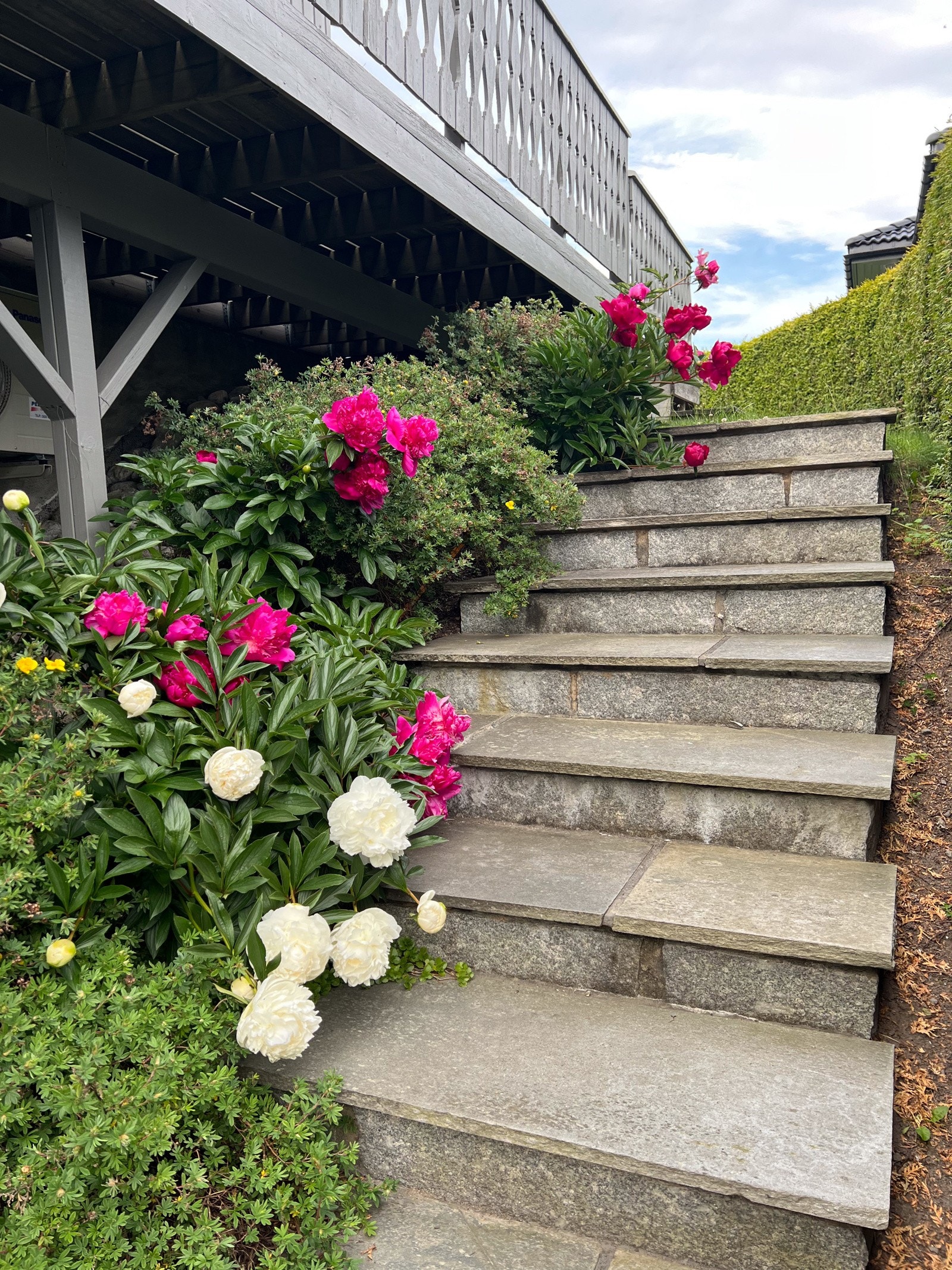 Selgers private bilde Galleribilde