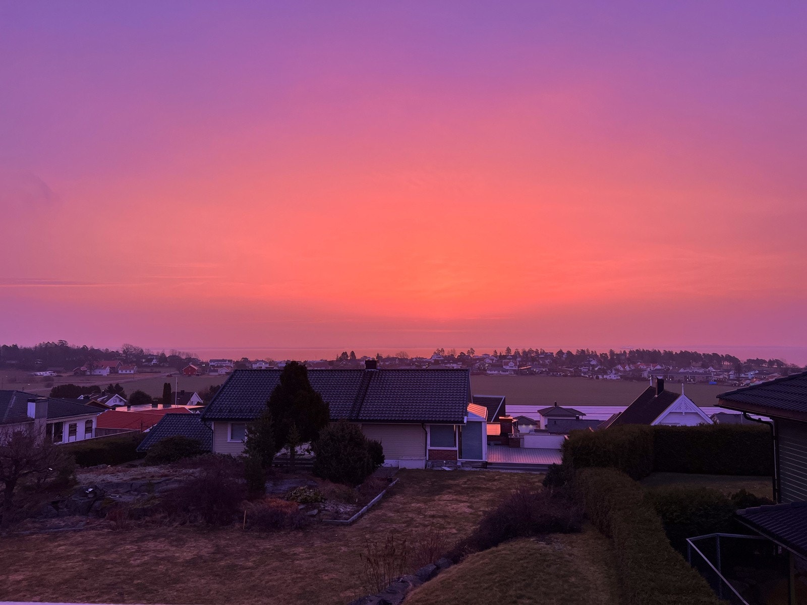 Selgers private bilde Galleribilde