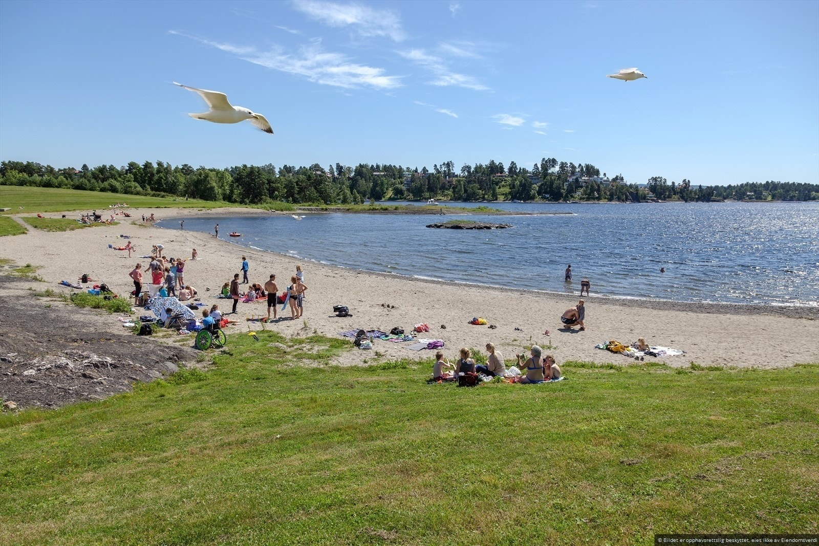 Område Galleribilde