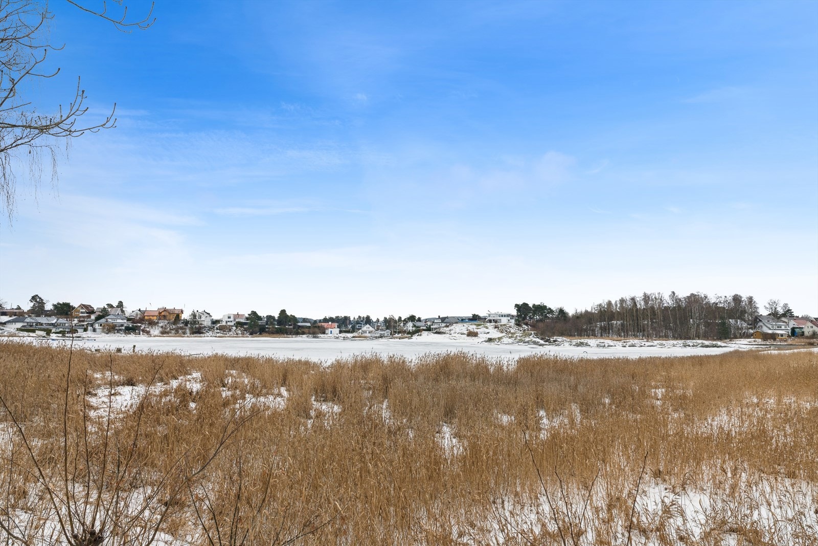 Nærområde Galleribilde