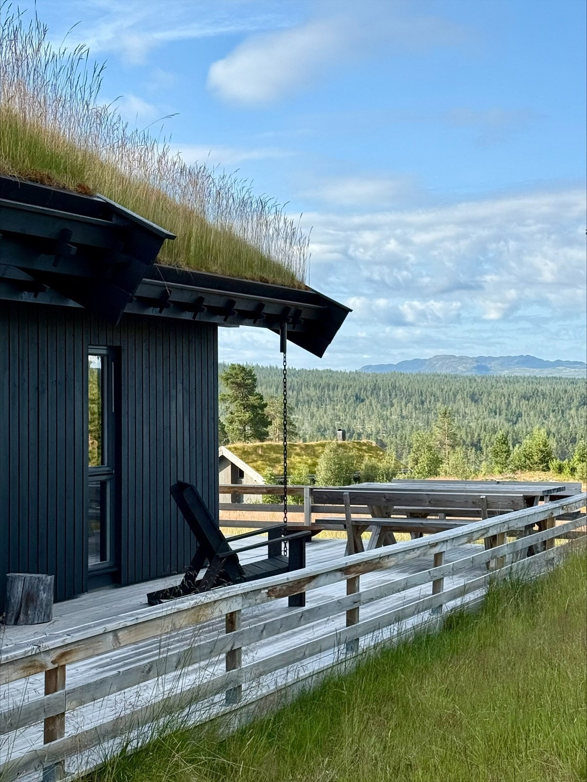 Sommerbilder fra hytta Galleribilde