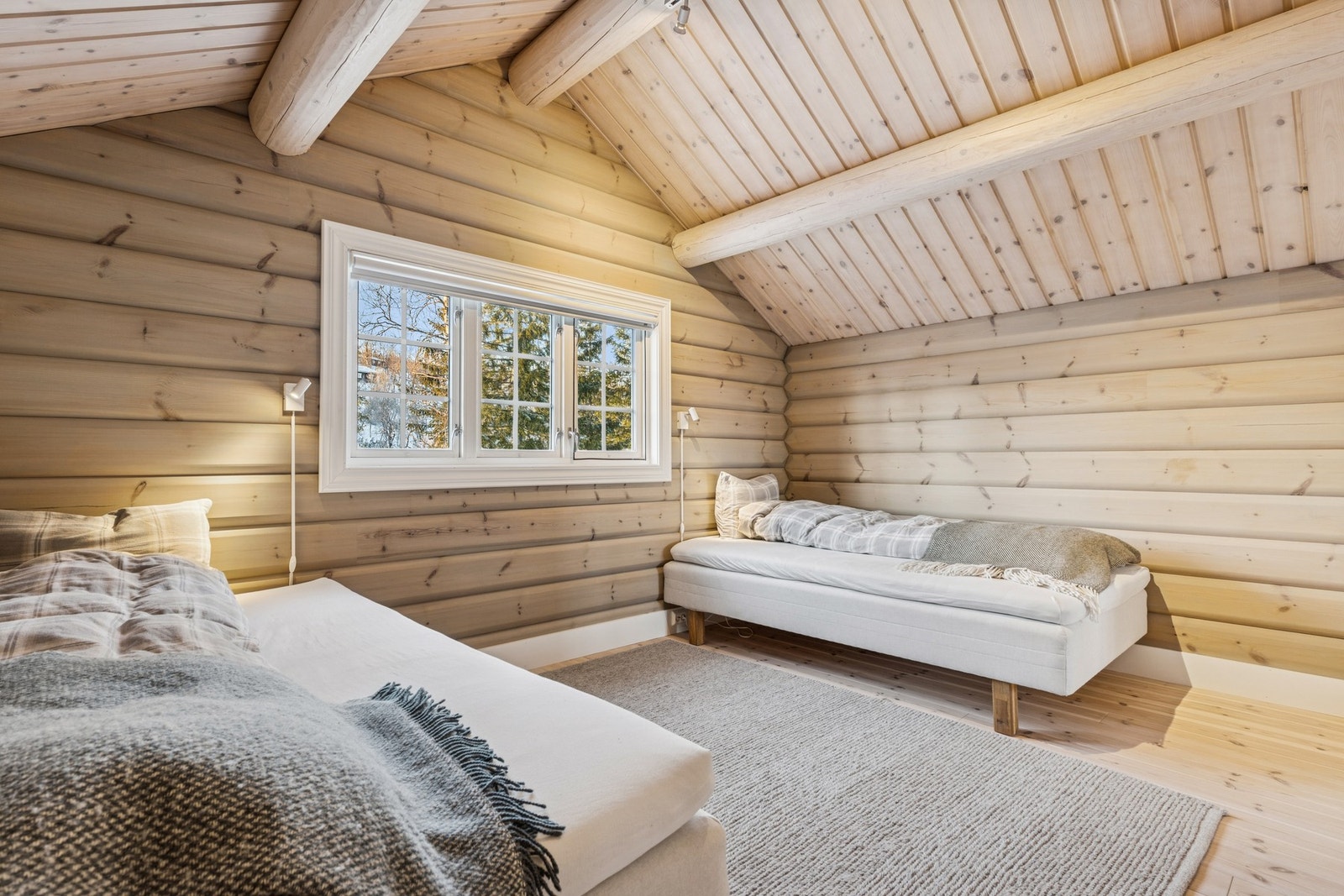 Behandlet tregulv, behandlet tømmervegger og behandlet panel i himling. Galleribilde