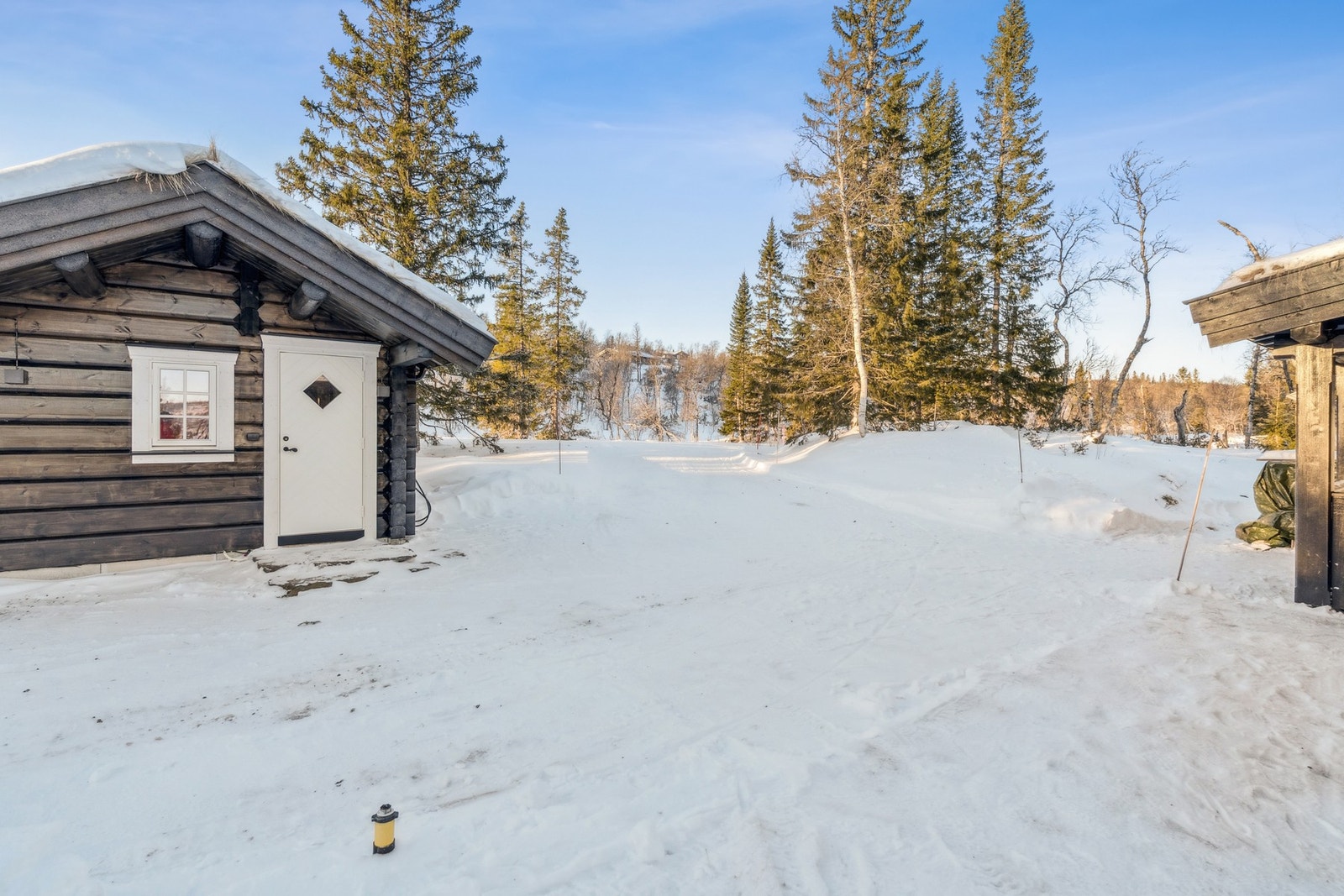 Velkommen til visning! Galleribilde