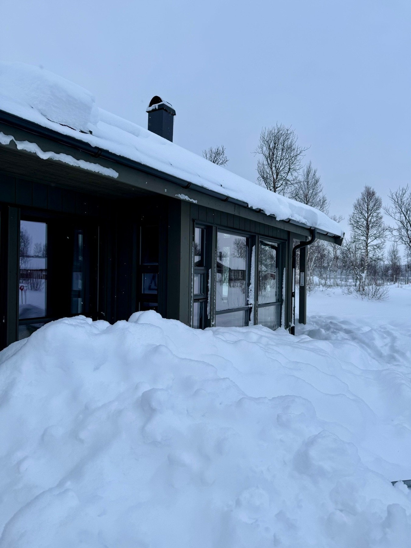 Selgers private vinterbilde. Galleribilde