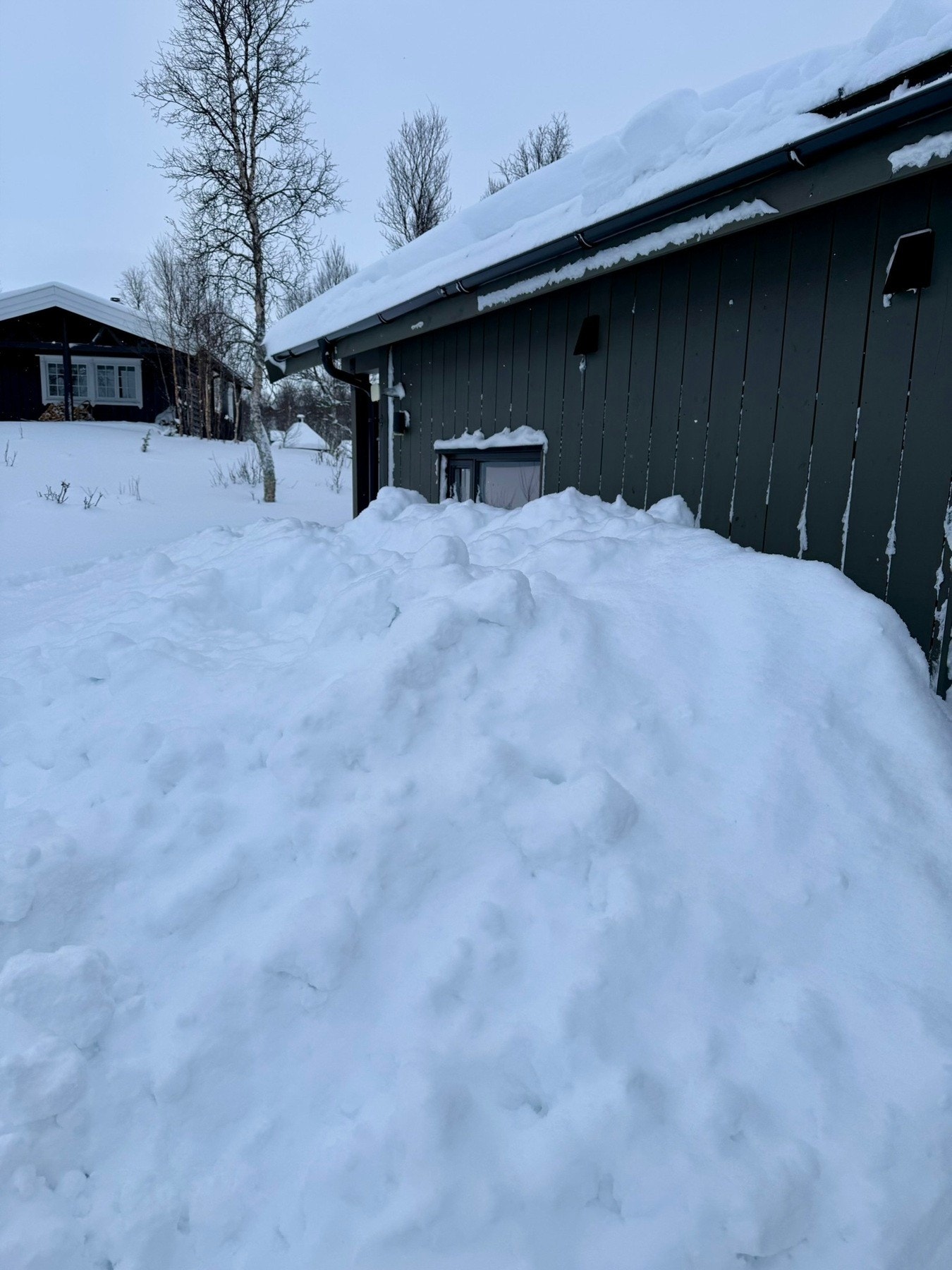 Selgers private vinterbilde. Galleribilde