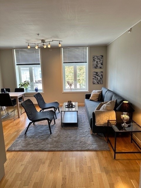 Stue møblert (inkl sovesofa) Galleribilde