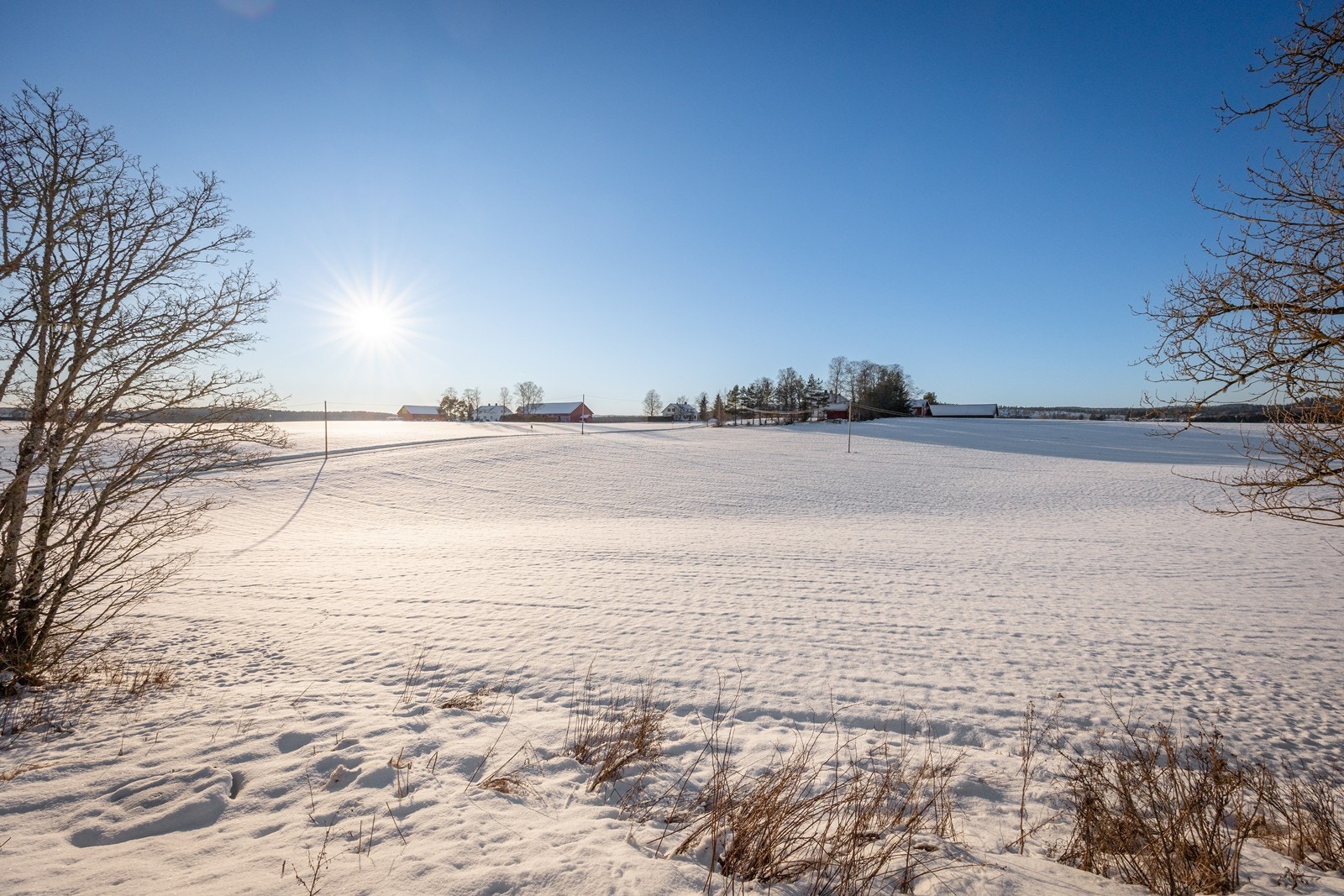 Omgivelsene er landlige og fredfulle, med flotte turmuligheter i skog og mark. Galleribilde