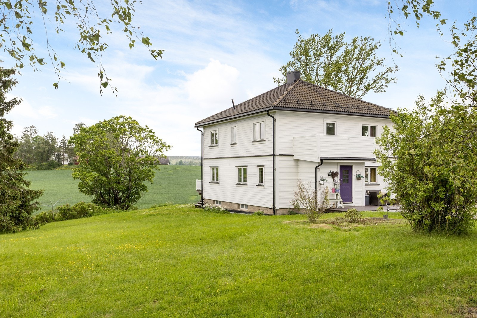 Sommerstemning i hagen. Galleribilde