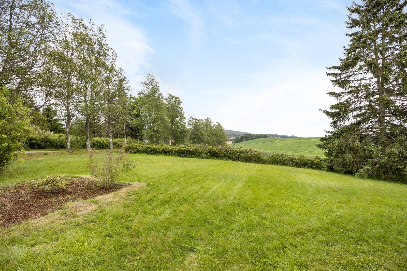 Sommerstemning i hagen. Galleribilde