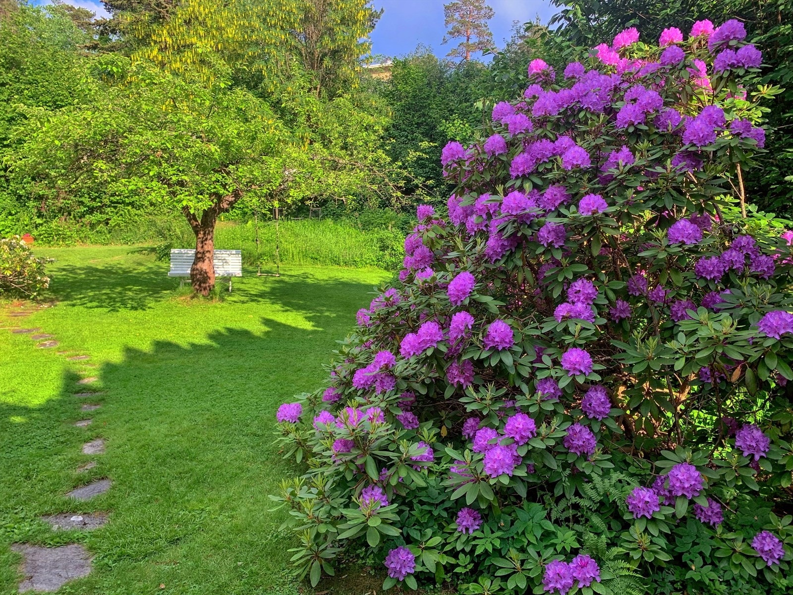 Om sommeren kan dere hygge dere ute i vakre, grønne omgivelser. Galleribilde