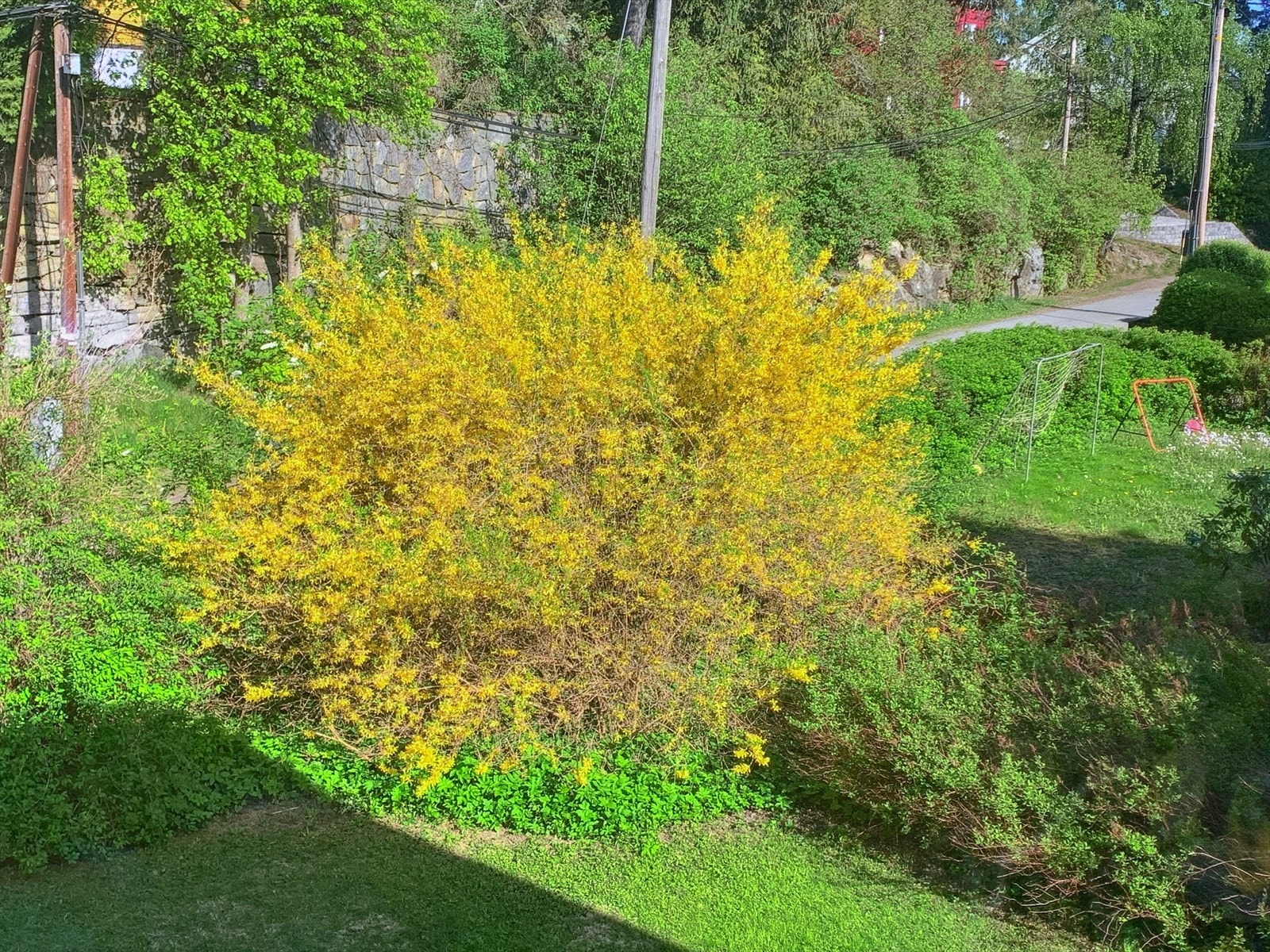 Pent opparbeidet hage med beplantning som gir farge og liv gjennom hele sesongen. Galleribilde