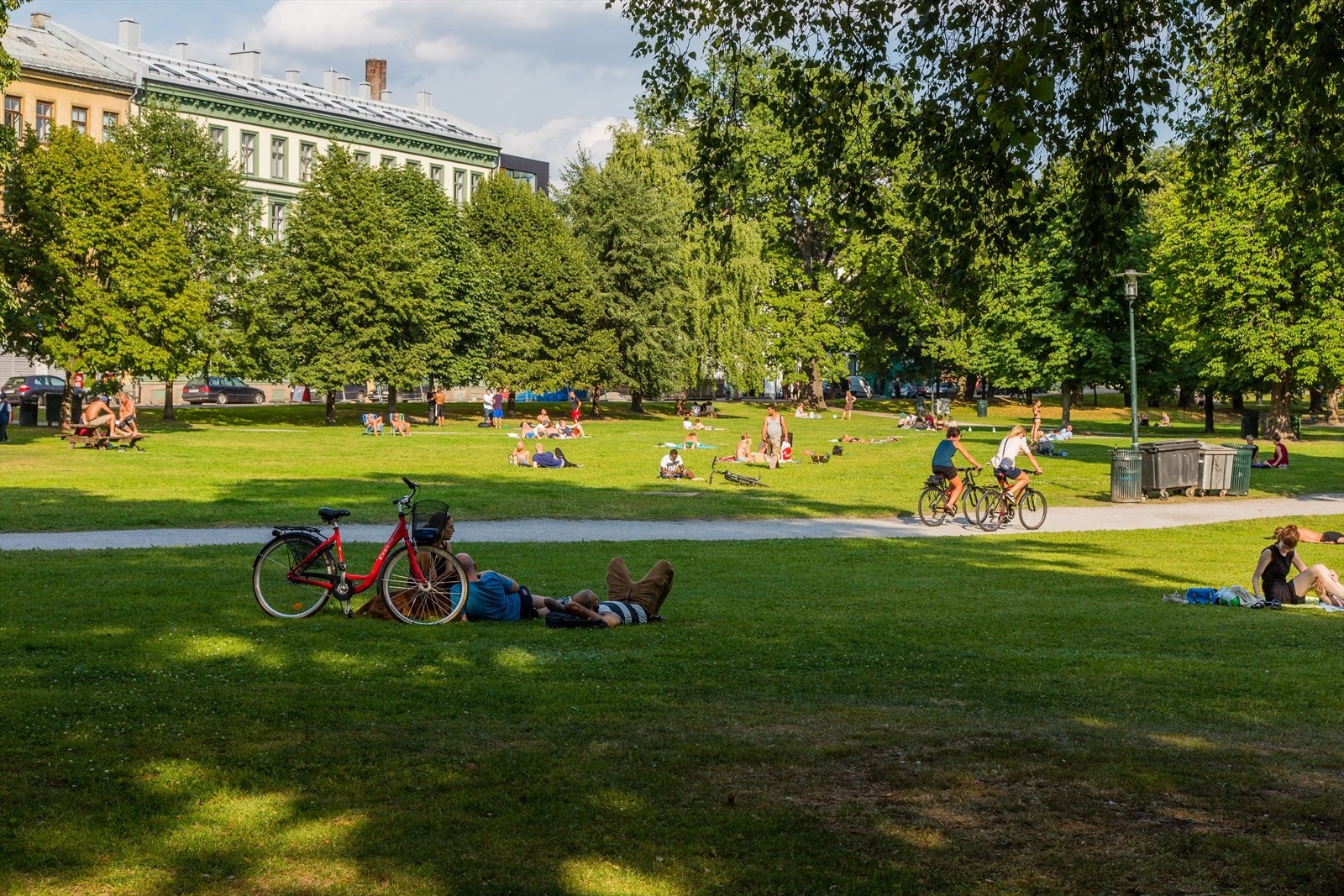 Nyt late dager i Sofienbergparken. Galleribilde