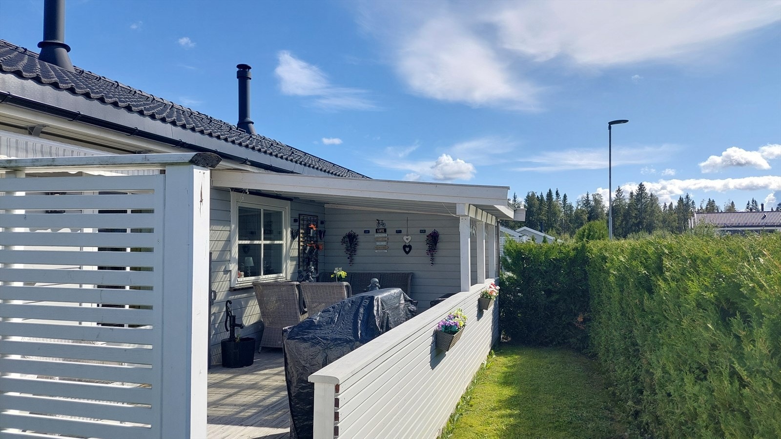 Det er plantet hekk som gir ingen innsyn Galleribilde