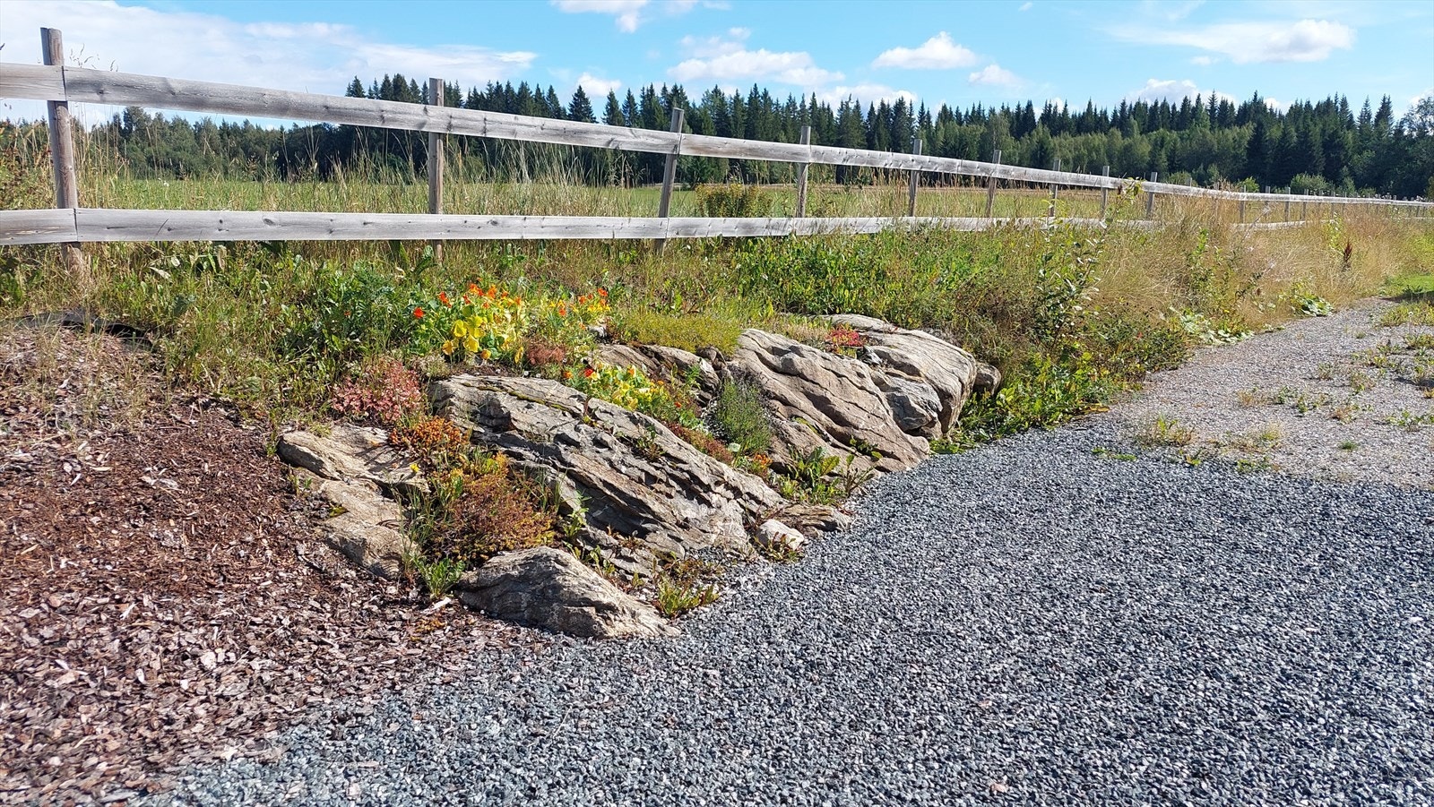 Uteområdet Galleribilde