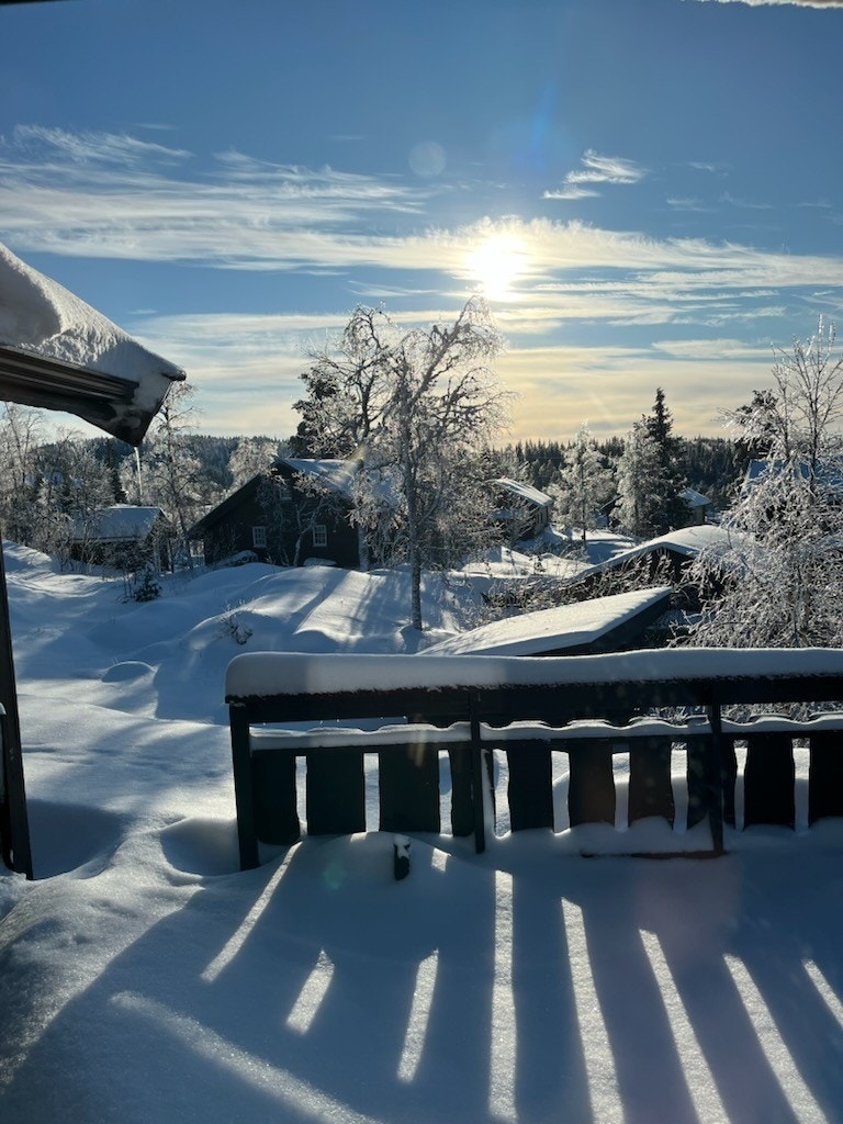 Vinterbilde fra selger Galleribilde