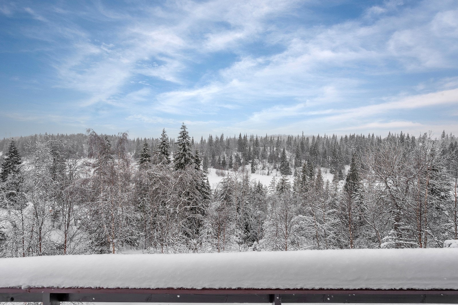Naturen er like utenfor hyttedøra Galleribilde