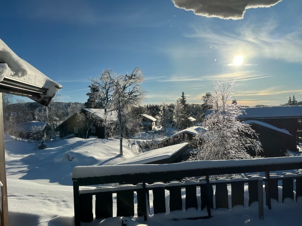 Vinterbilde fra selger Galleribilde