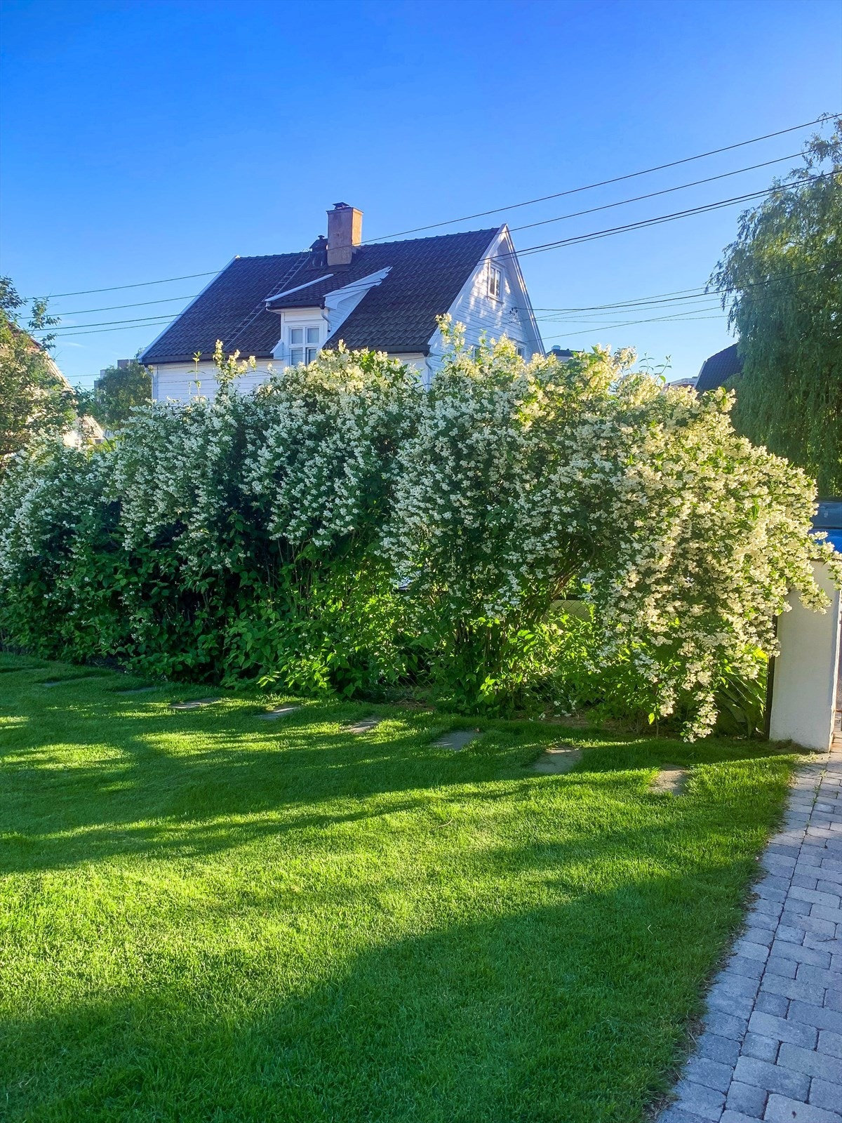 Flott belegningsstein og gressplen Galleribilde