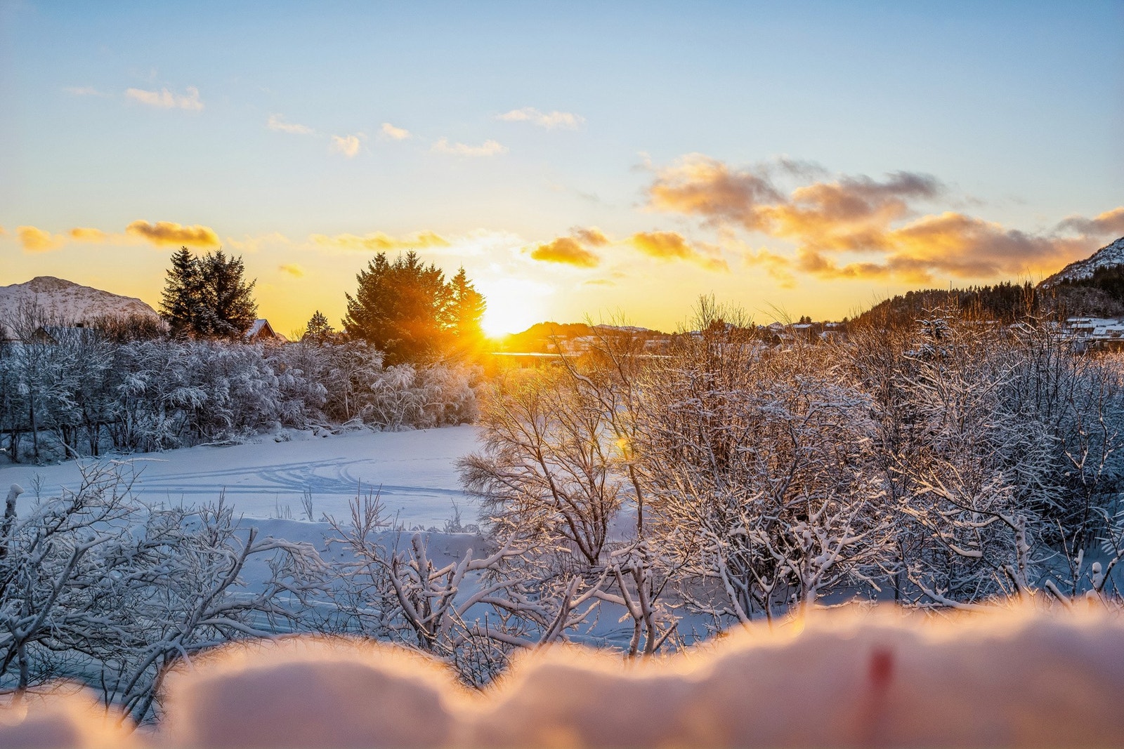 Fin og langstrakt utsikt. Galleribilde