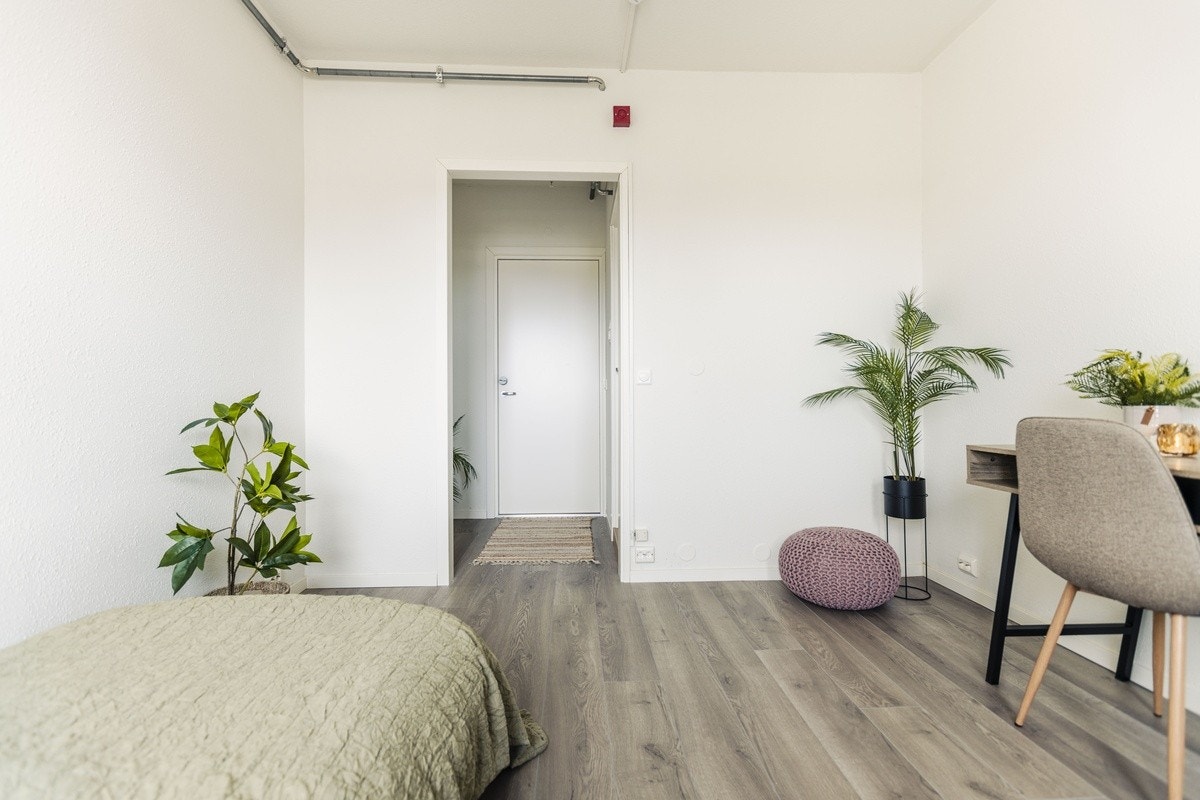 Visningsmøbler Galleribilde