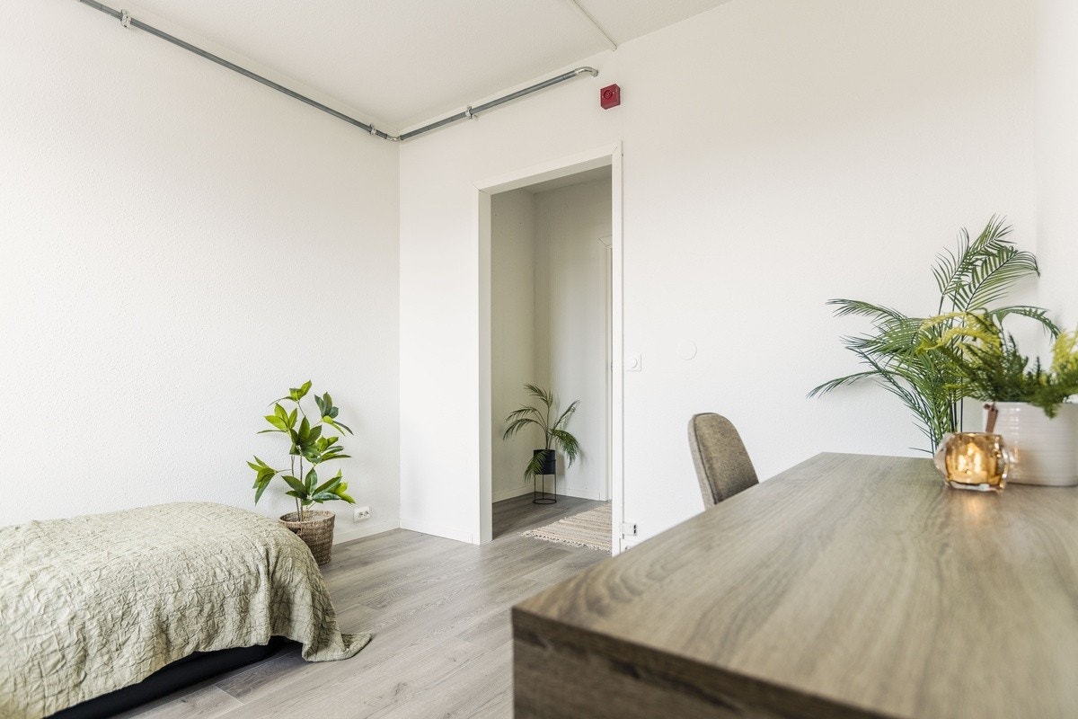 Visningsmøbler Galleribilde