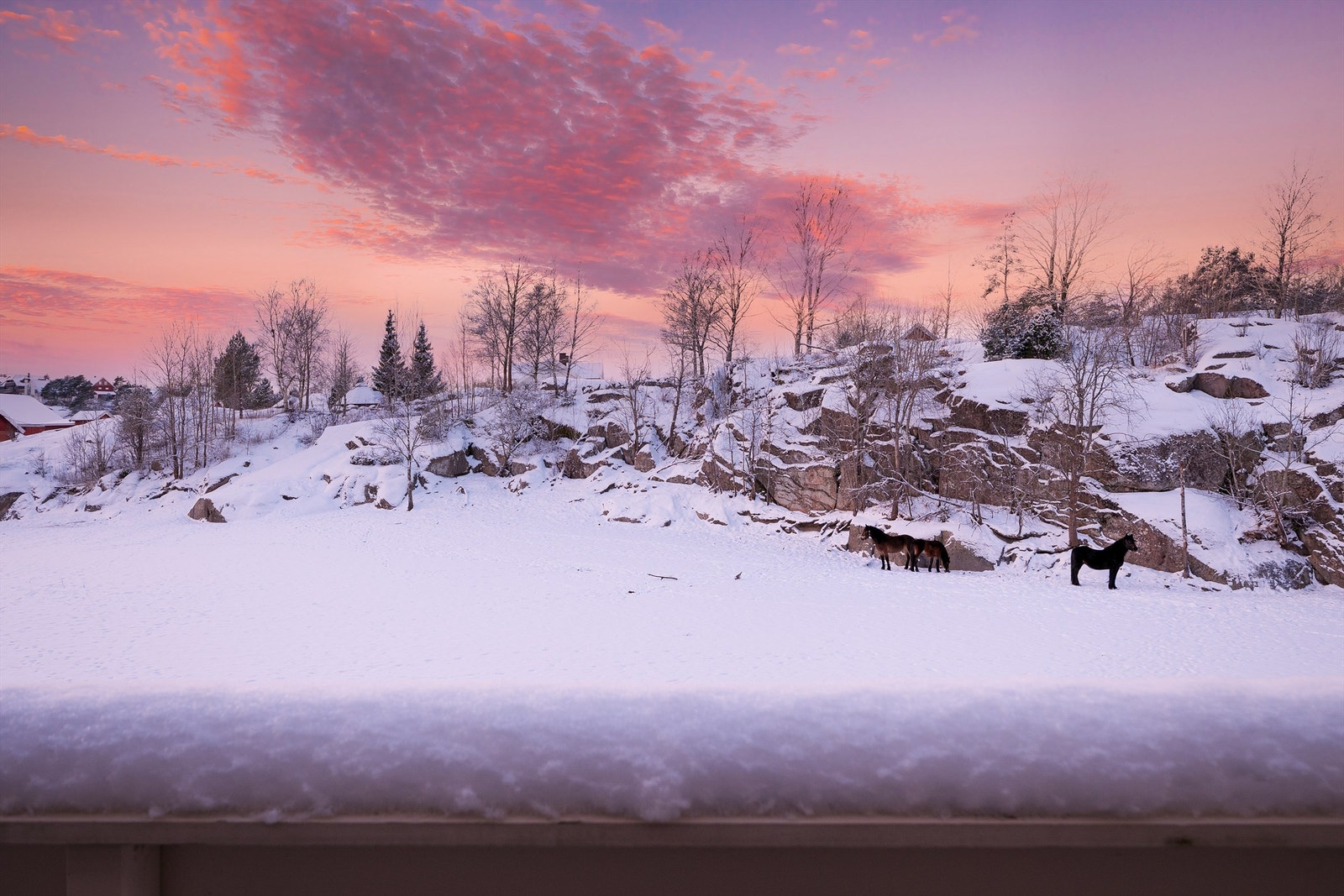 Det er ingen motstående bebyggelse i vest, og dermed heller ikke innsyn til balkong eller stue. Galleribilde