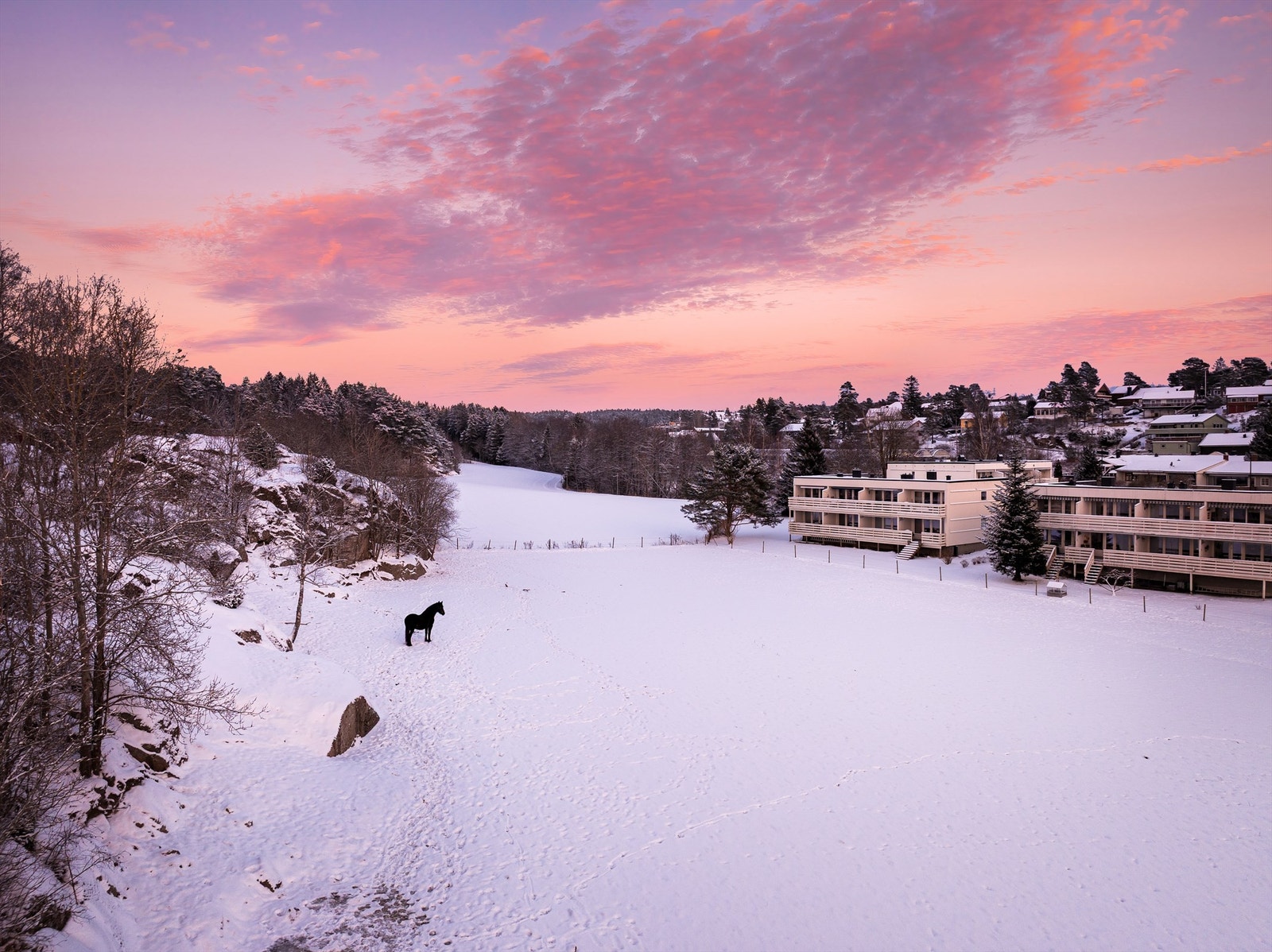I de landlige omgivelsene er det lite som minner om nærheten til byen. Anerkjent gårdsutsalg ligger få meter unna. Galleribilde