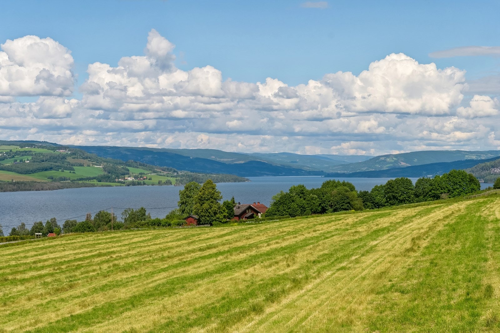 Nærområdet byr på et rikt utvalg fritidsaktiviteter. Galleribilde