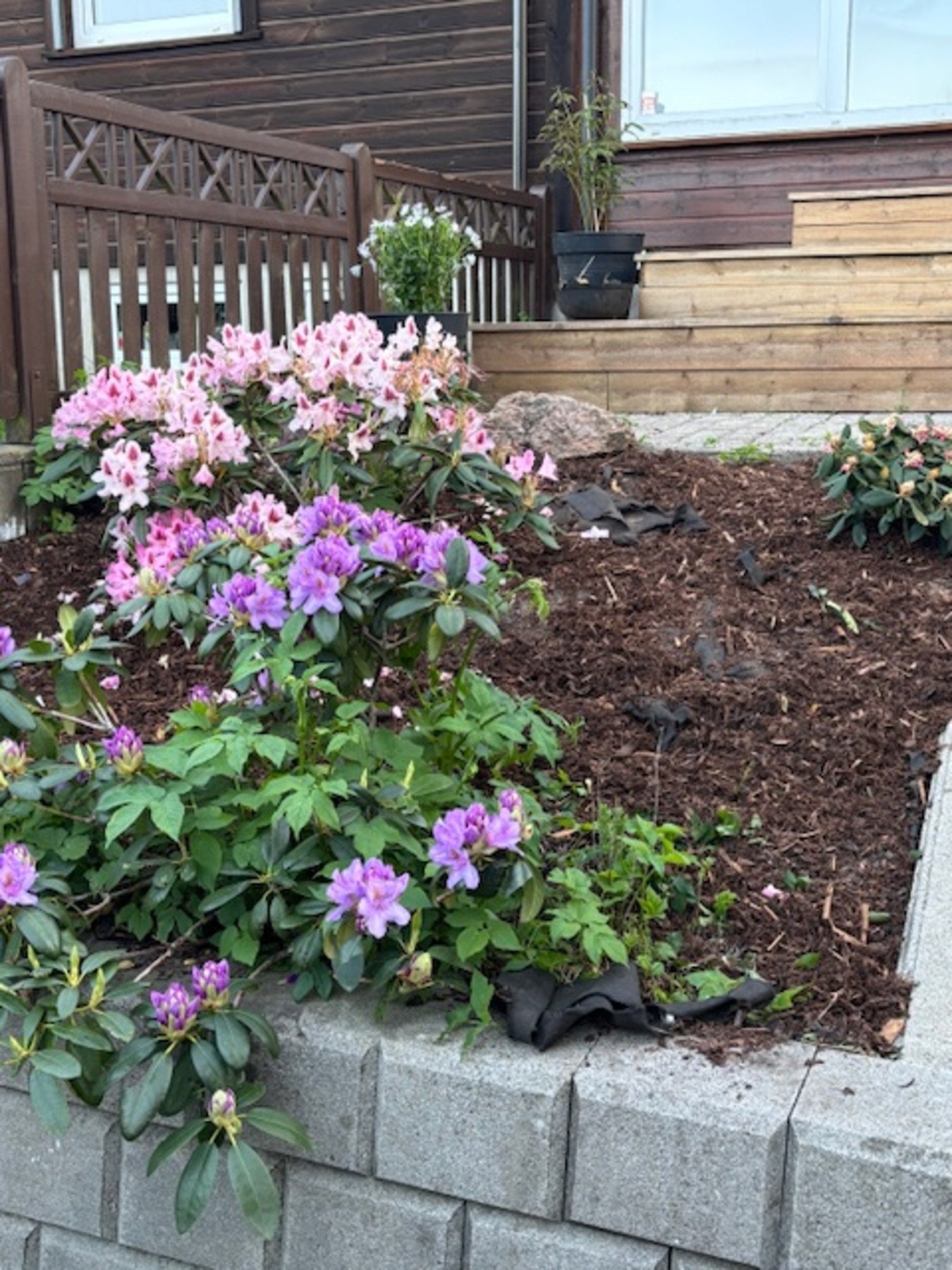 - Det er bare å glede seg til sommeren - Galleribilde