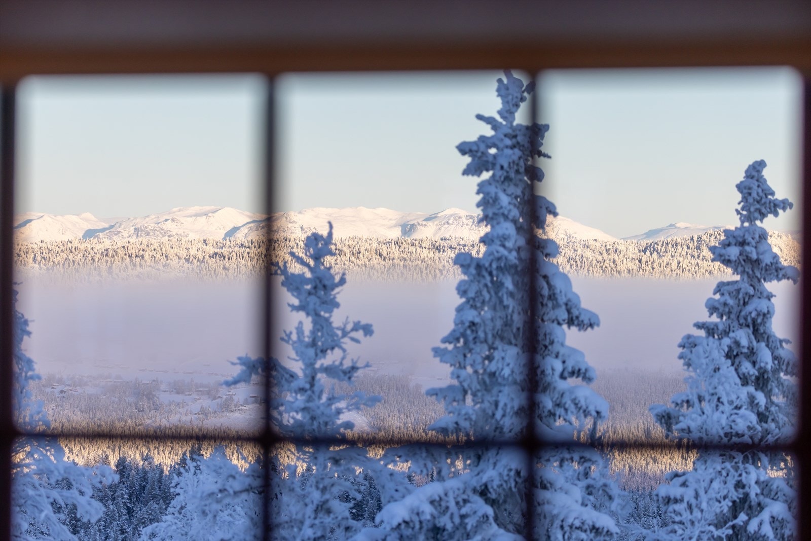 Blir ikke så mye bedre Galleribilde