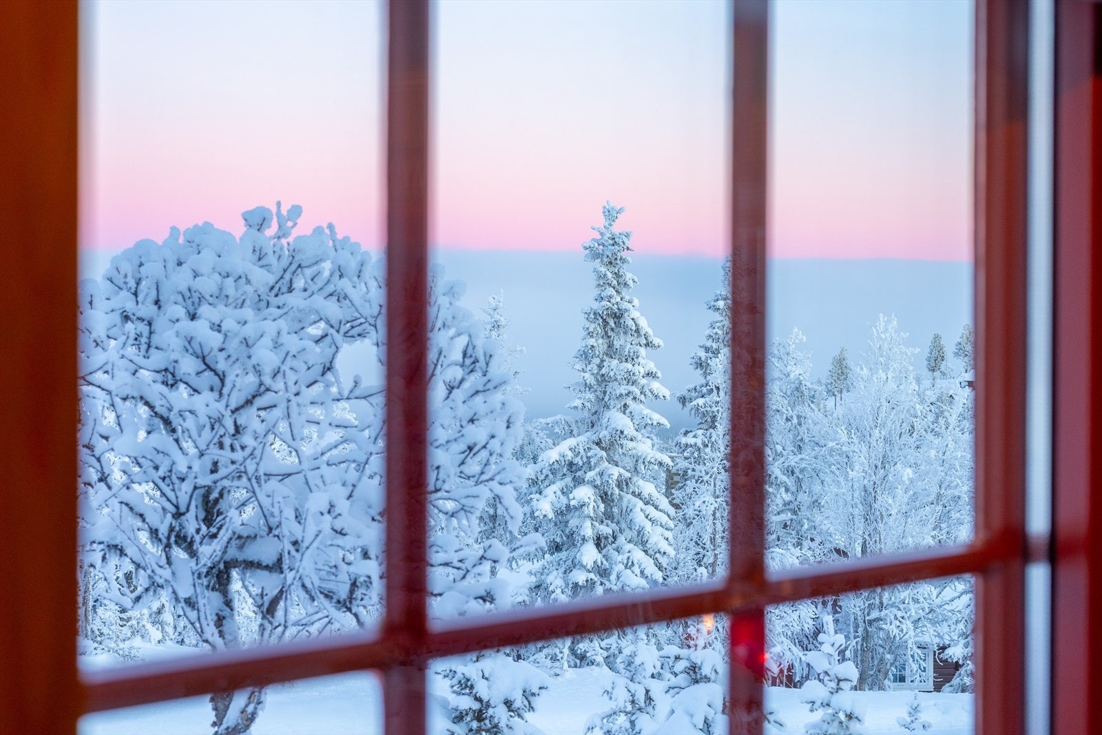 Tenk å våke til dette! Galleribilde