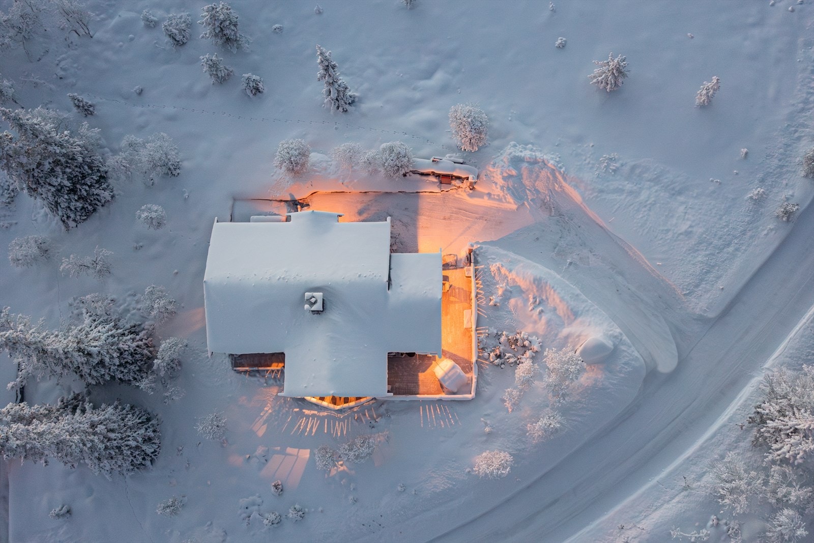 Harepusen som leiker rundt hytta Galleribilde