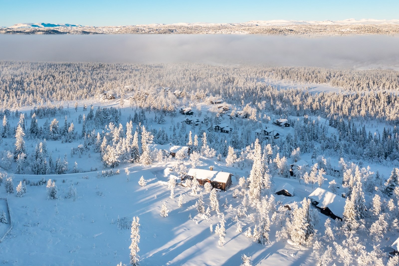 Her har ungen fri båltreplass på sørsiden av hytta. Stor urørt området perfekt for skileik Galleribilde
