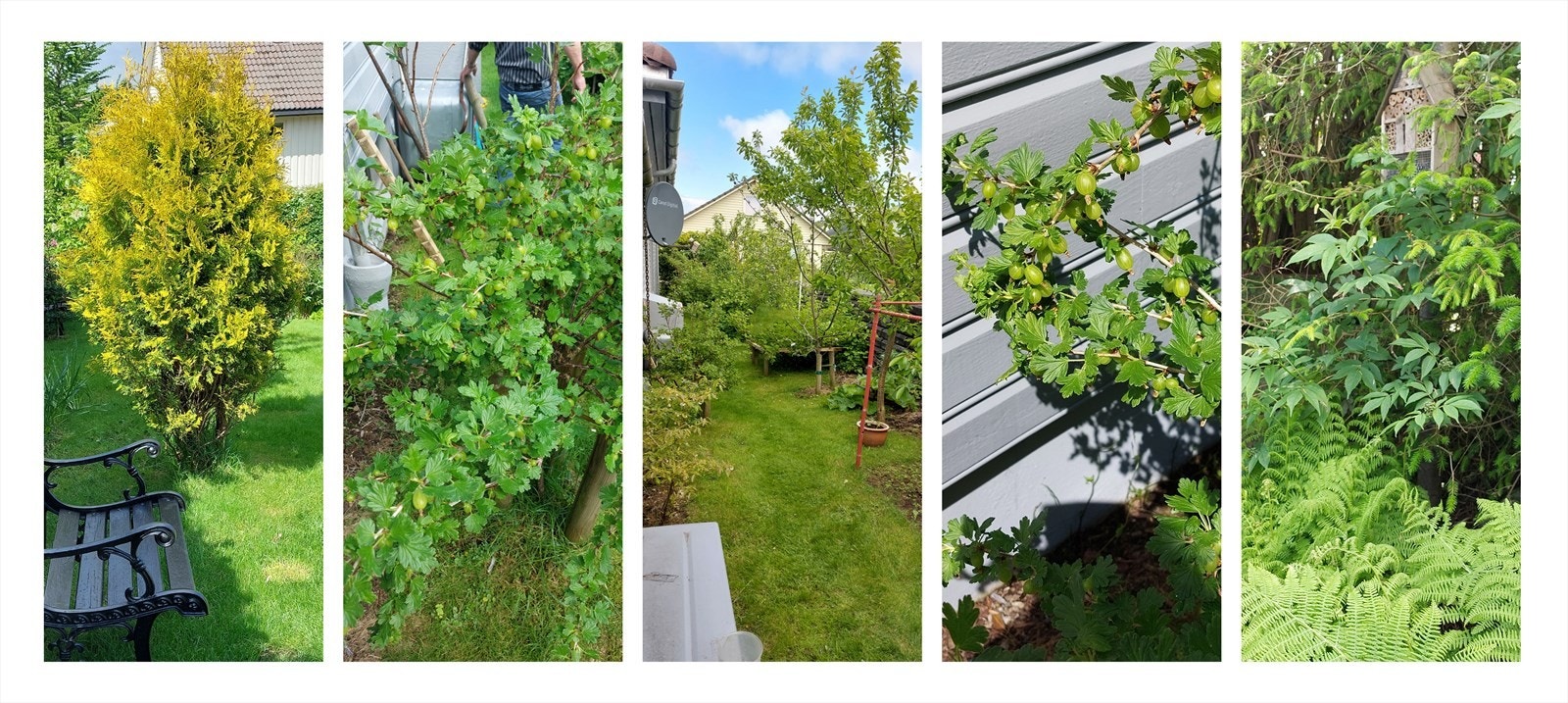 Sommer Hakkevegen 3 - bilder tatt av selger Galleribilde