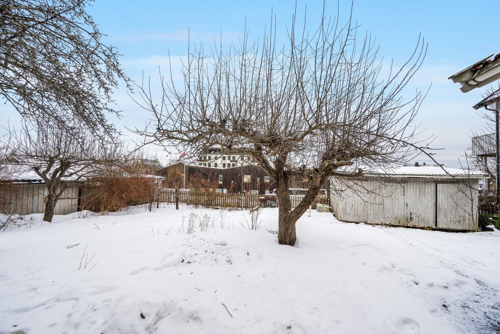 Om sommeren er hagen i vekst og man har både pærer, epler og plommer. I tillegg er det beplantet med prydbusker og stauder Galleribilde