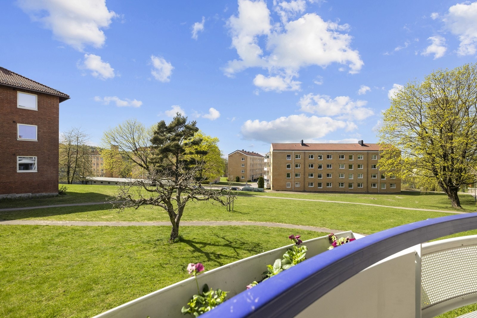 Det er ikke noe innsyn, og store grøntområder, der jeg har plukket mye frukt og bær. Galleribilde