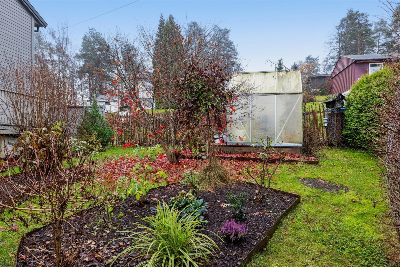 Pent opparbeidet hage med tilhørende drivhus Galleribilde