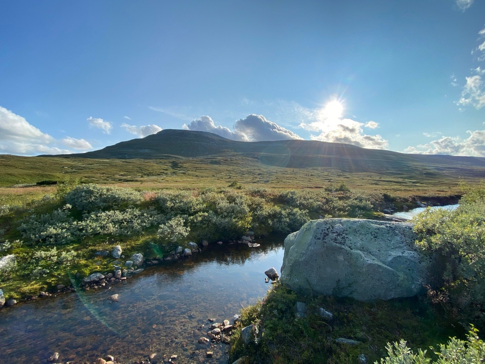 Fantastisk turterreng. Galleribilde