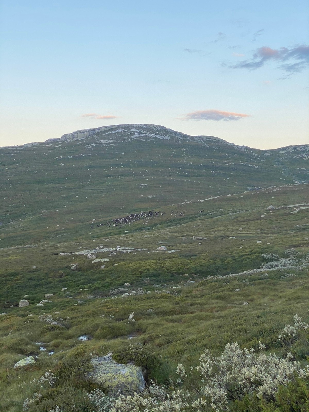 Muligheter for fine naturopplevelser hele året. Galleribilde