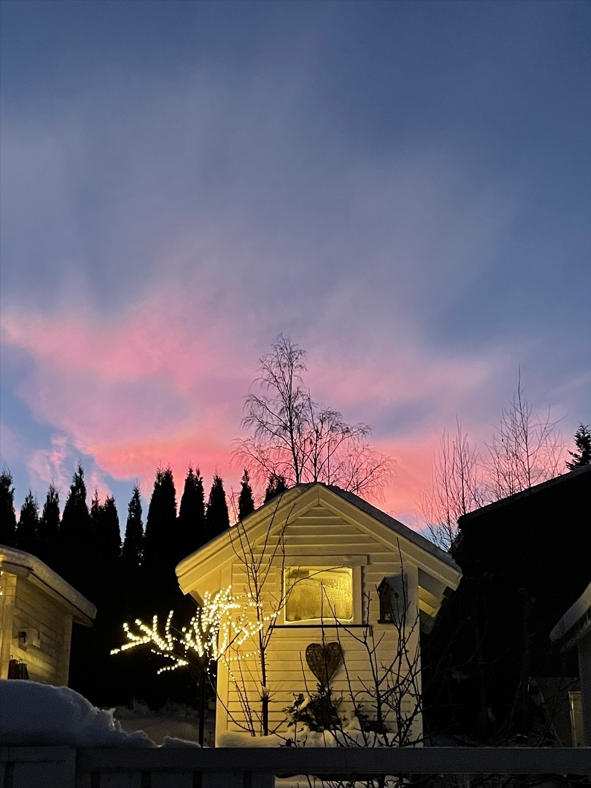 Selgers bilde Galleribilde