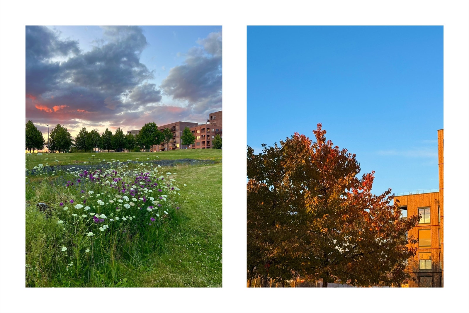 Selgers egne bilder. Galleribilde