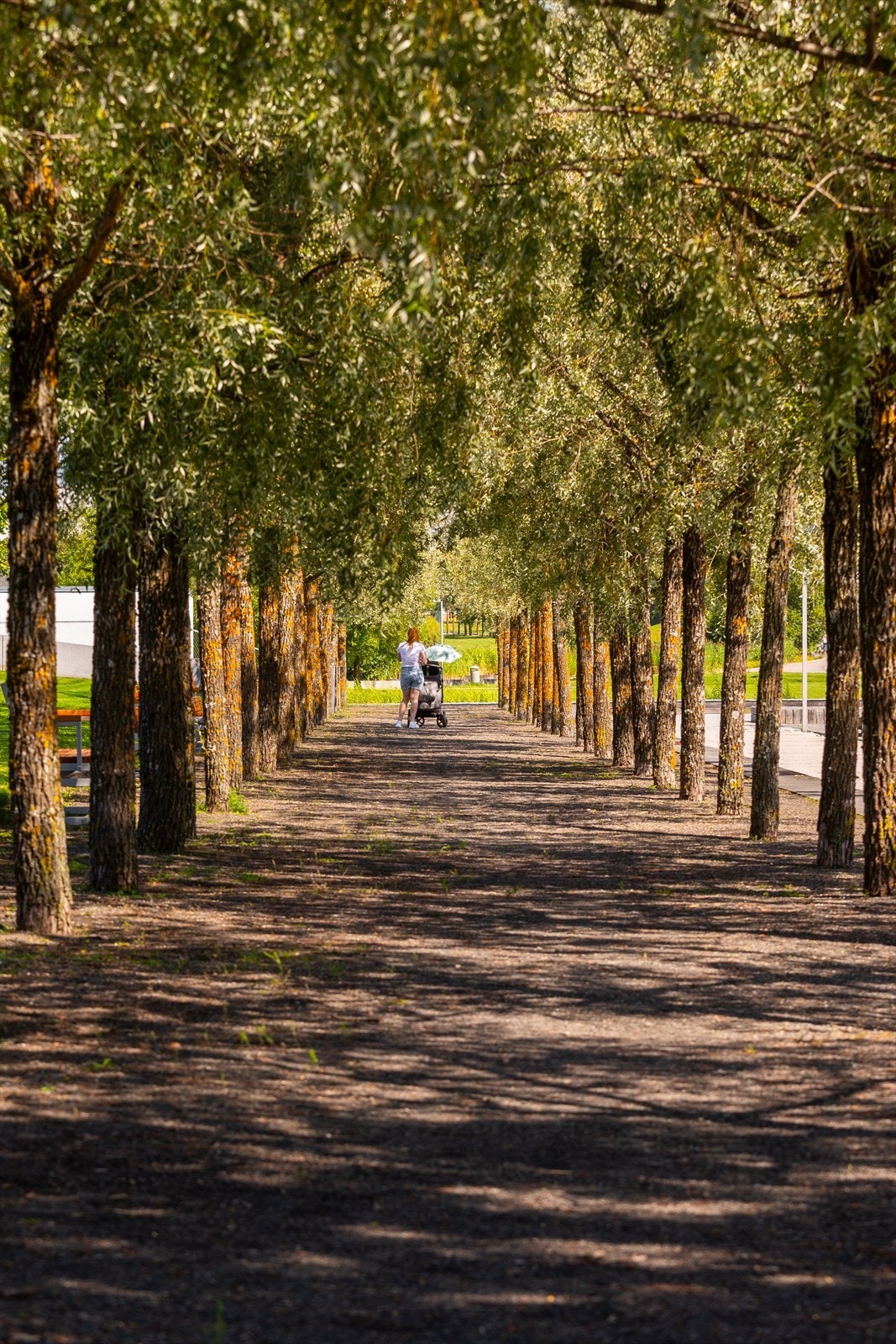 Leiligheten har en sentral og attraktiv beliggenhet med nærhet til store og sjønære park- og friområder. Galleribilde