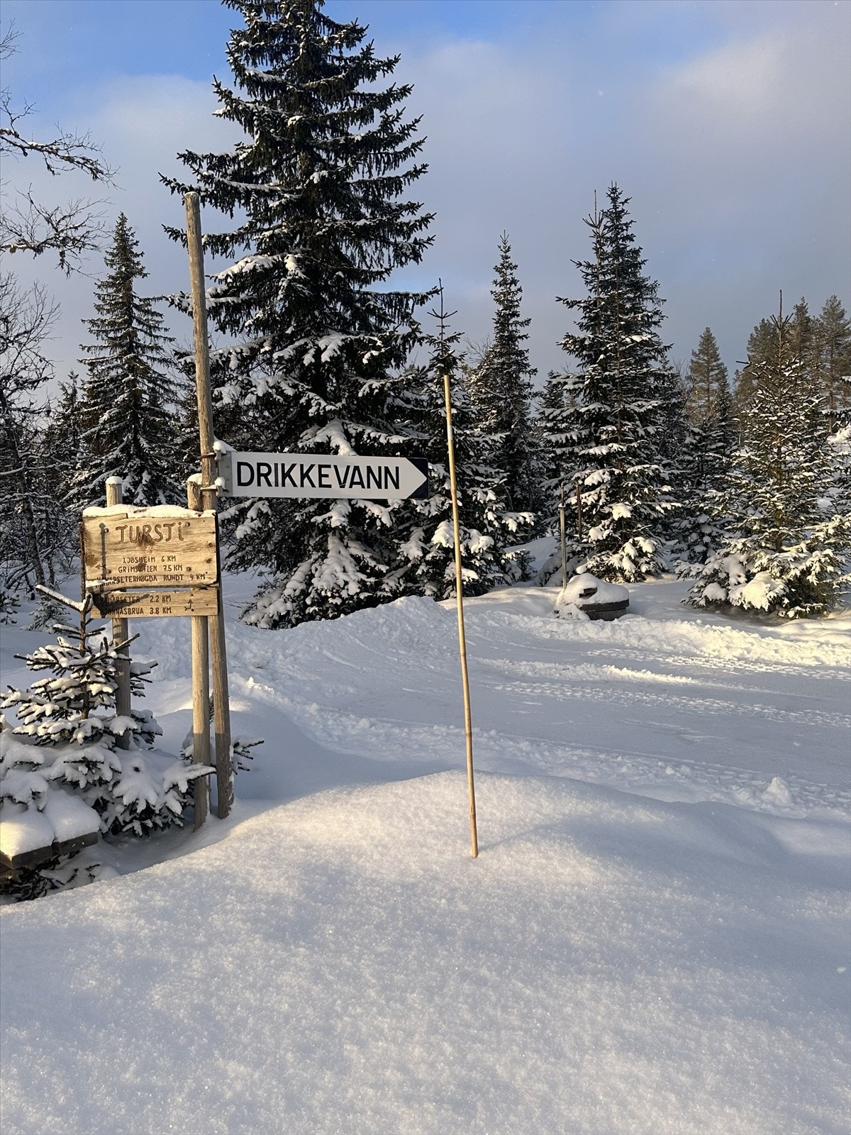 Turstier starter rett i nærheten av hytta, med tilgang til drikkevannskilde. Galleribilde