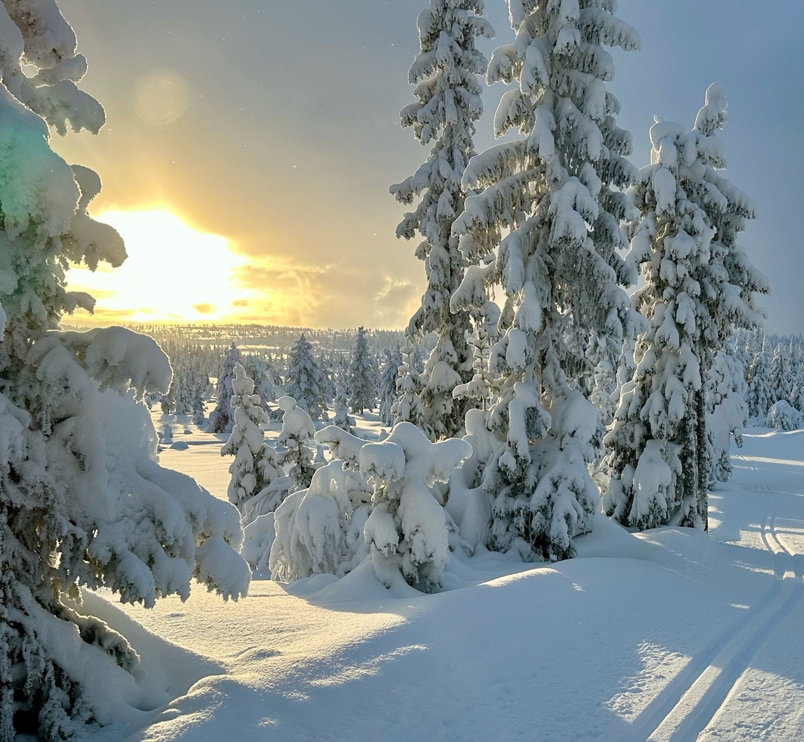Vinterstid er dette et skiparadis. Du kan spenne på deg langrennsskiene like ved hytta og koble deg direkte på et omfattende løypenett som strekker seg over 450 kilometer i regionen. Galleribilde