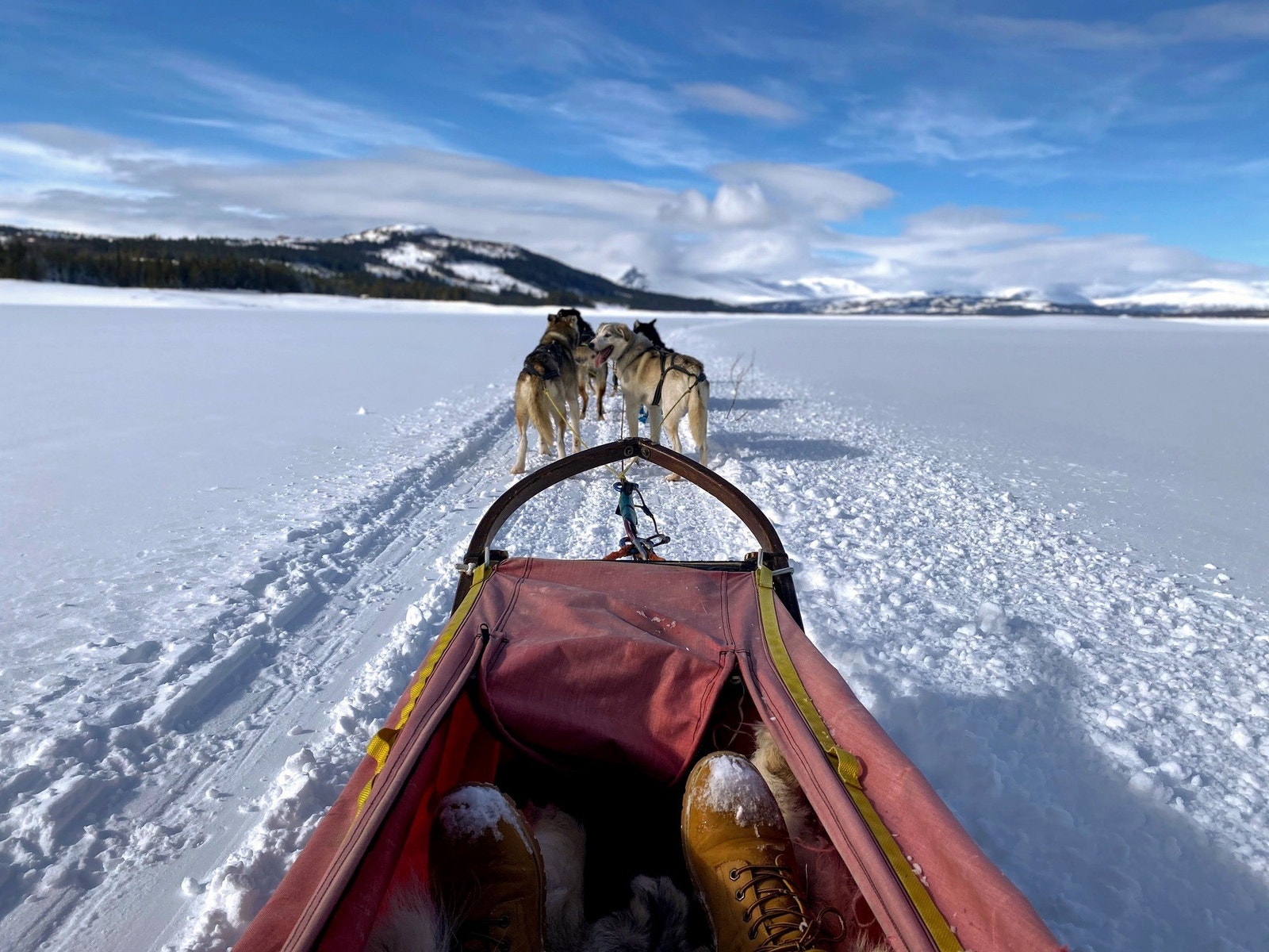 En av mange vinteraktiviteter på Golsfjellet. Galleribilde