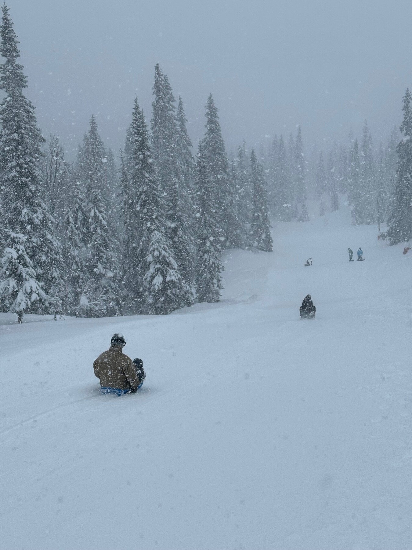 Like ved hytta er en populær akebakke. Privat bilde. Galleribilde