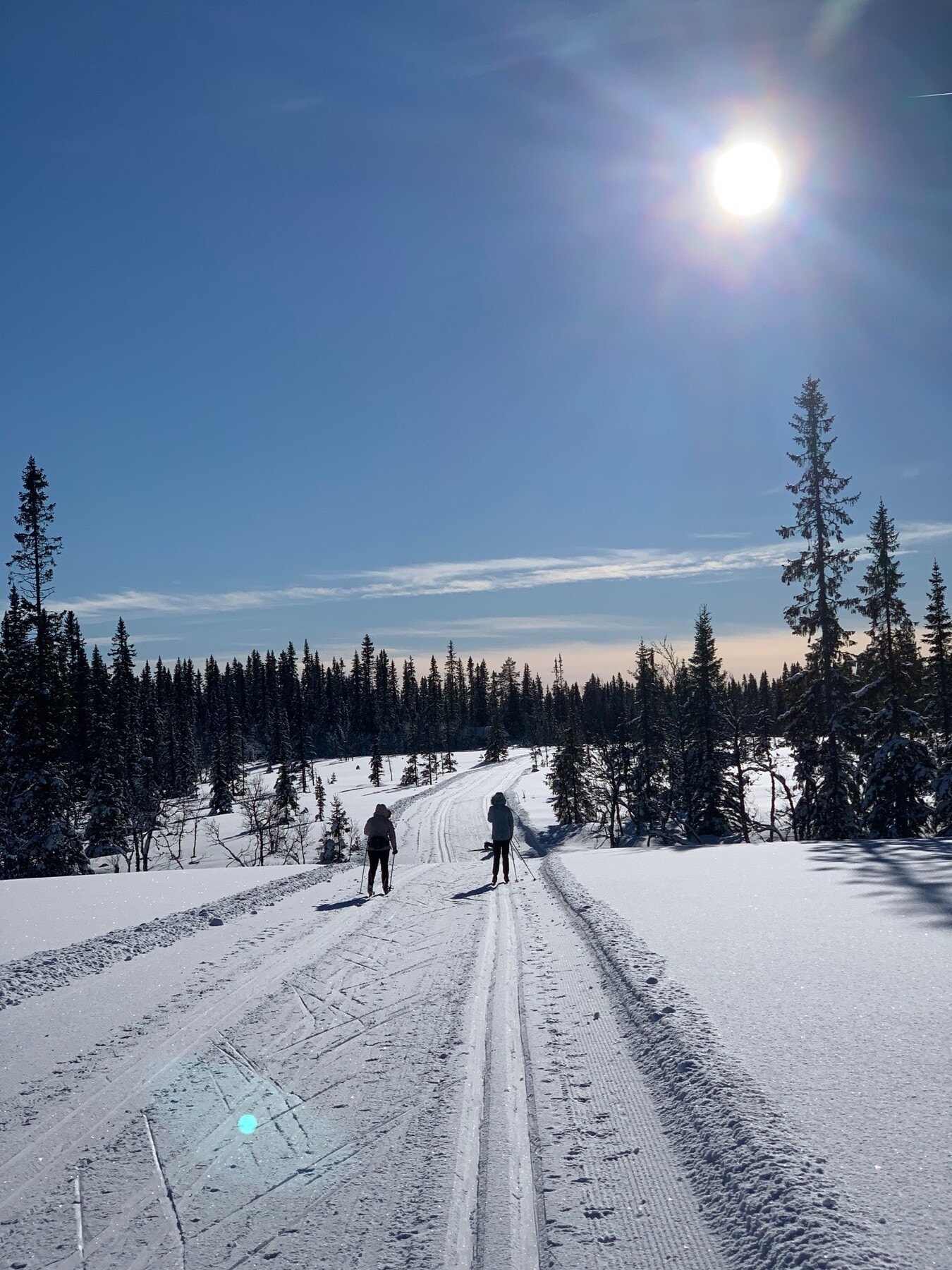 Området er kjent for å ha velpreparerte skiløyper som strekker seg både gjennom skogområder og opp til vidder og fjell. Privat bilde Galleribilde