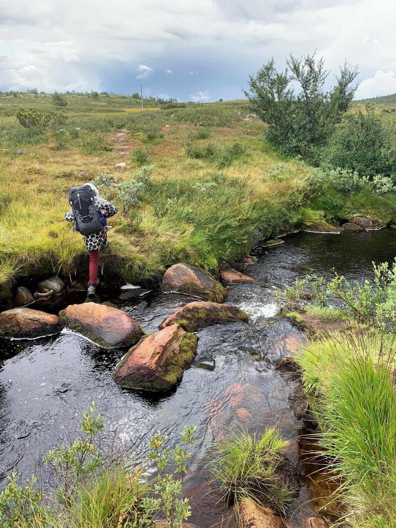 Området har flotte turområder rett utenfor døren til både Gnolla og en litt lengre tur til Bittermarka. Privat bilde Galleribilde